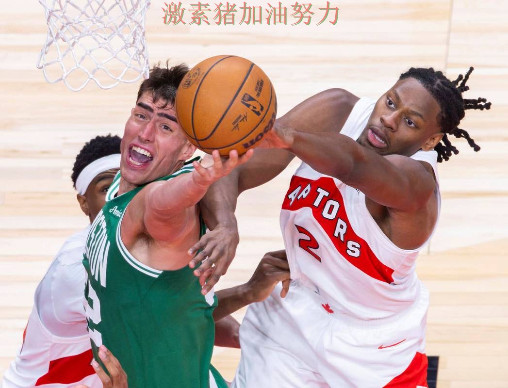 猛龙关键进球掀起争论