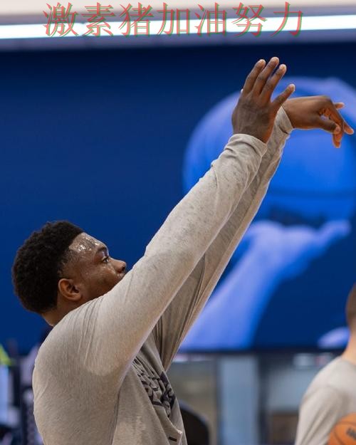 鹈鹕争冠前景出现变化